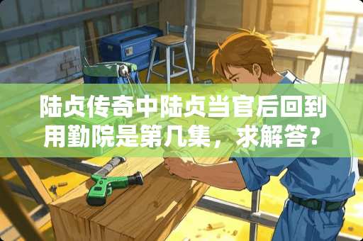 陆贞传奇中陆贞当官后回到用勤院是第几集，求解答？