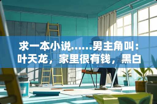 求一本小说……男主角叫：叶天龙，家里很有钱，黑白通吃？