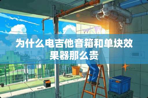 为什么电吉他音箱和单块效果器那么贵