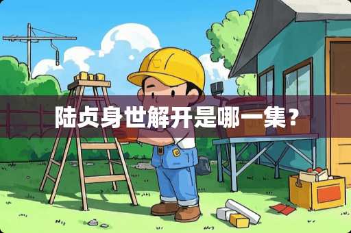 陆贞身世解开是哪一集？