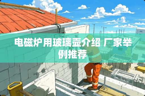 电磁炉用玻璃壶介绍 厂家举例推荐