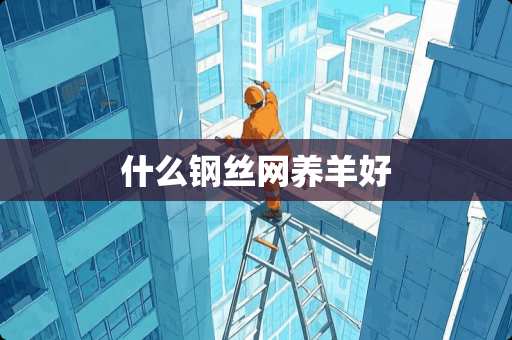 什么钢丝网养羊好