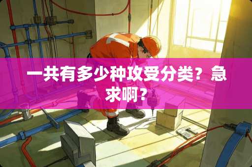 一共有多少种攻受分类？急求啊？