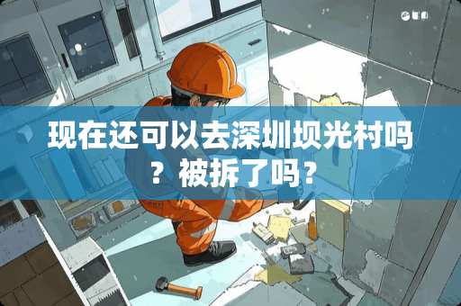 现在还可以去深圳坝光村吗？被拆了吗？