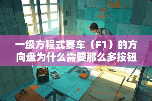 一级方程式赛车（F1）的方向盘为什么需要那么多按钮？