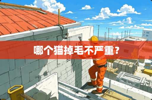 哪个猫掉毛不严重？