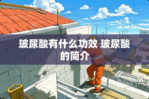 玻尿酸有什么功效 玻尿酸的简介