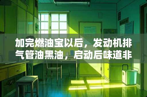 加完燃油宝以后，发动机排气管油黑油，启动后味道非常大的臭味，怎么回事，求教？