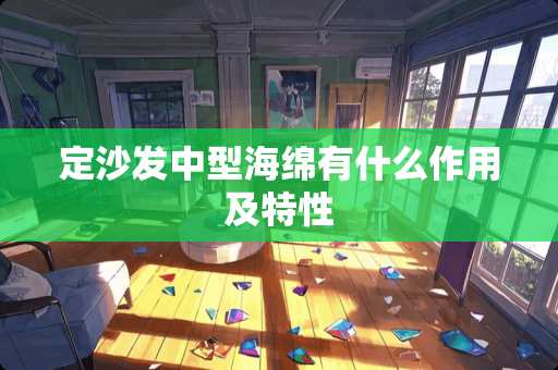 定沙发中型海绵有什么作用及特性