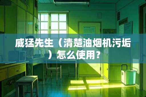 威猛先生（清楚油烟机污垢）怎么使用？