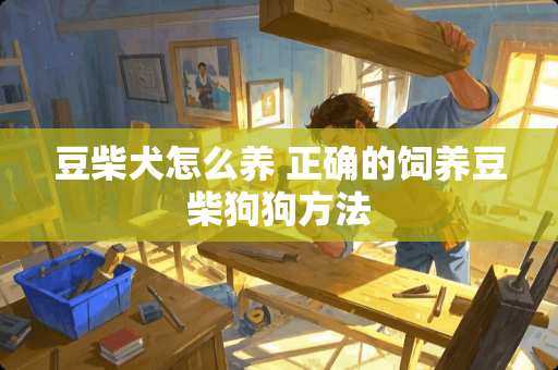 豆柴犬怎么养 正确的饲养豆柴狗狗方法