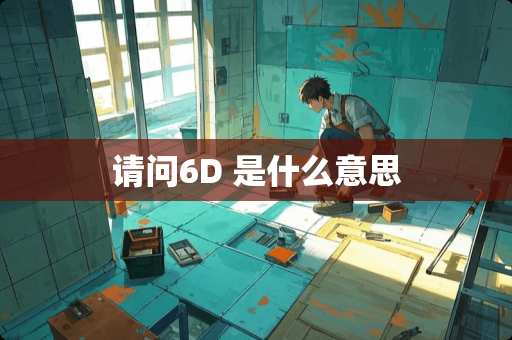 请问6D 是什么意思