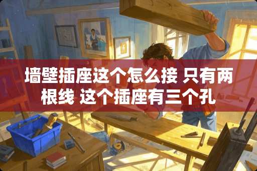 墙壁插座这个怎么接 只有两根线 这个插座有三个孔