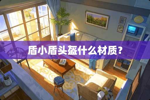 盾小盾头盔什么材质？