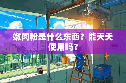 嫩肉粉是什么东西？能天天使用吗？