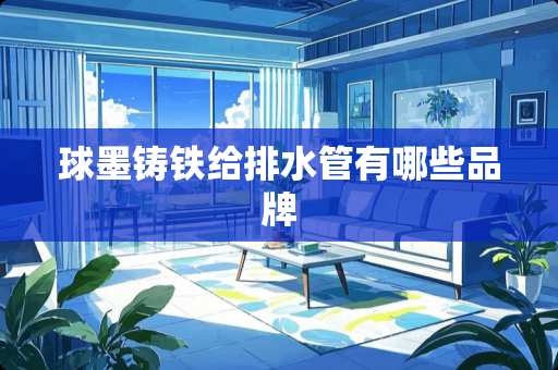 球墨铸铁给排水管有哪些品牌