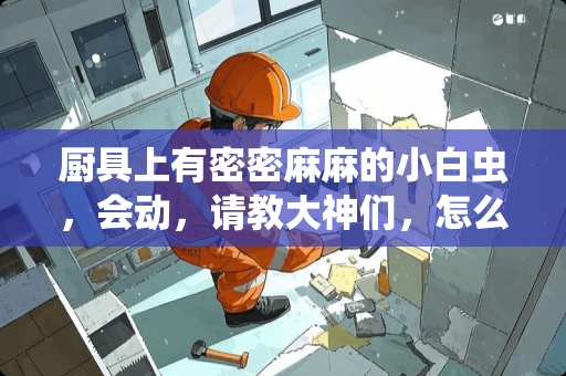 厨具上有密密麻麻的小白虫，会动，请教大神们，怎么消灭掉这些东西。