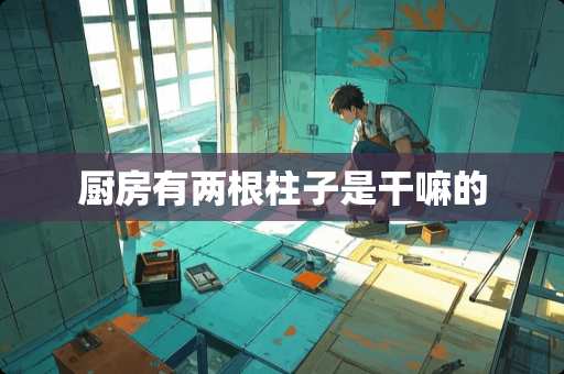 厨房有两根柱子是干嘛的