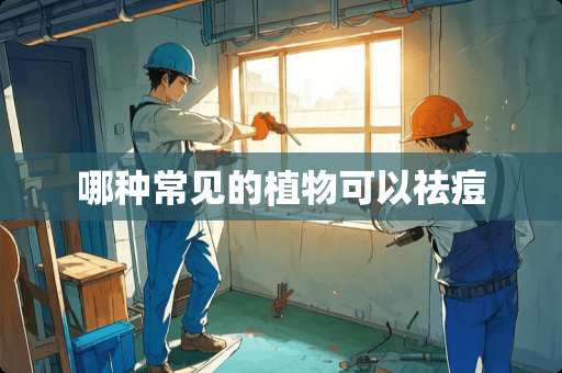 哪种常见的植物可以祛痘