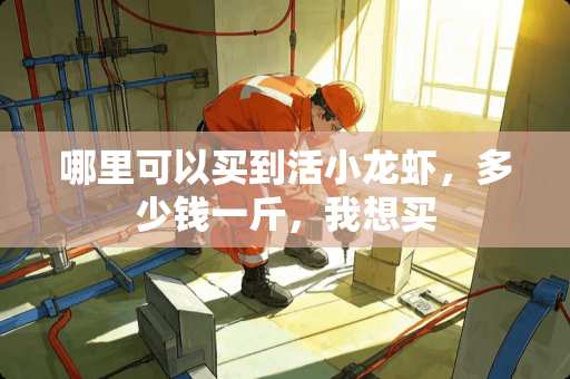 哪里可以买到活小龙虾，多少钱一斤，我想买