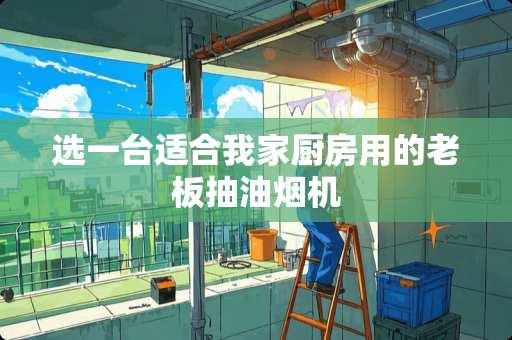 选一台适合我家厨房用的老板抽油烟机