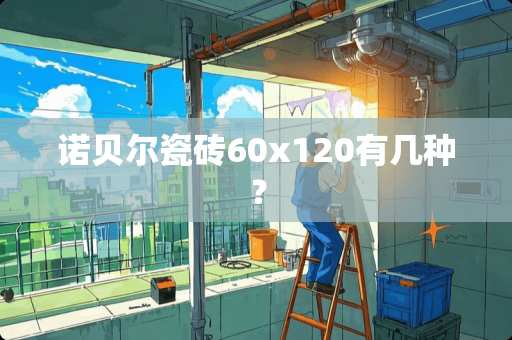 诺贝尔瓷砖60x120有几种？