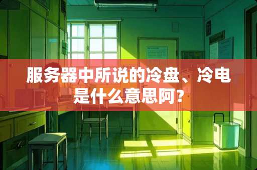 服务器中所说的冷盘、冷电是什么意思阿？