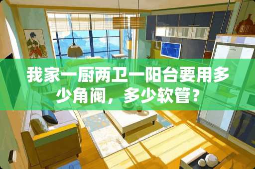我家一厨两卫一阳台要用多少角阀，多少软管？