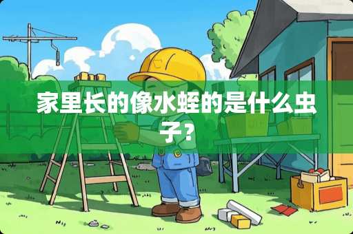 家里长的像水蛭的是什么虫子？