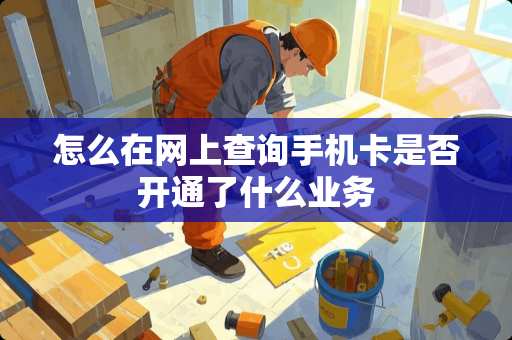 怎么在网上查询手机卡是否开通了什么业务