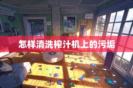 怎样清洗榨汁机上的污垢