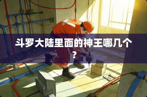 斗罗**里面的神王哪几个？