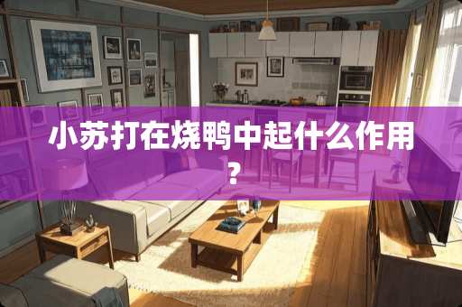 小苏打在烧鸭中起什么作用？