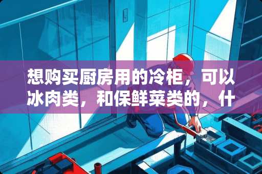 想购买厨房用的冷柜，可以冰肉类，和保鲜菜类的，什么牌子质量好
