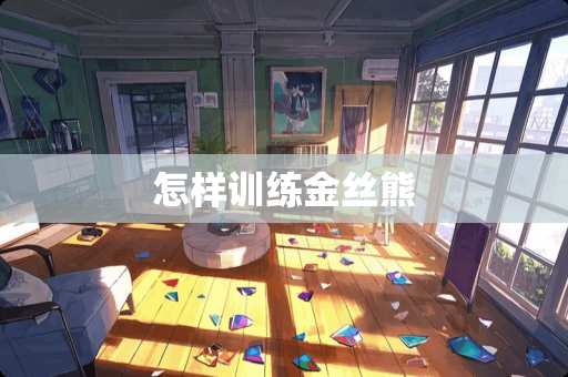 怎样训练金丝熊