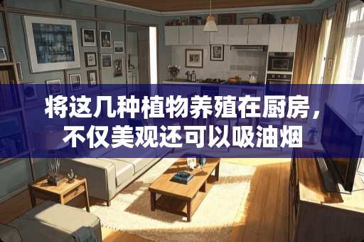 将这几种植物养殖在厨房，不仅美观还可以吸油烟