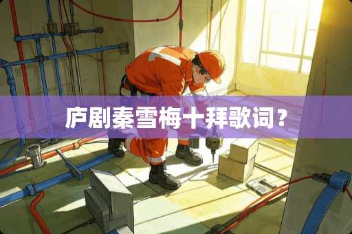 庐剧秦雪梅十拜歌词？