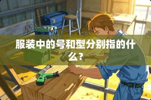服装中的号和型分别指的什么？