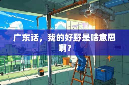 广东话，我的好野是啥意思啊？