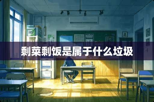 剩菜剩饭是属于什么垃圾