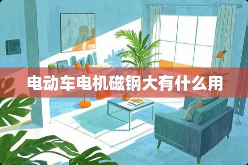 电动车电机磁钢大有什么用