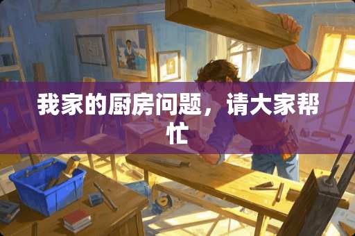 我家的厨房问题，请大家帮忙