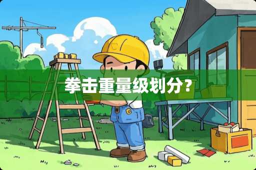 拳击重量级划分？