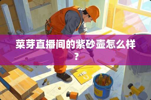 菜芽直播间的紫砂壶怎么样？