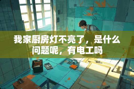 我家厨房灯不亮了，是什么问题呢，有电工吗