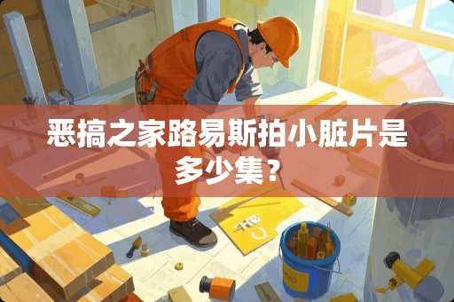 **之家路易斯拍小脏片是多少集？