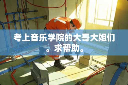 考上音乐学院的大哥大姐们。求帮助。
