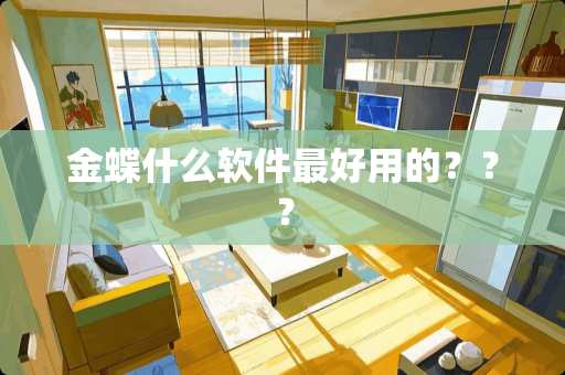 金蝶什么软件最好用的？？？