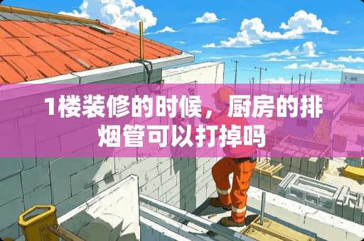 1楼装修的时候，厨房的排烟管可以打掉吗