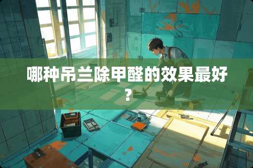 哪种吊兰除甲醛的效果最好？